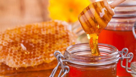 قیمت خرید عسل کوهی وحشی سبلان عمده به صرفه و ارزان